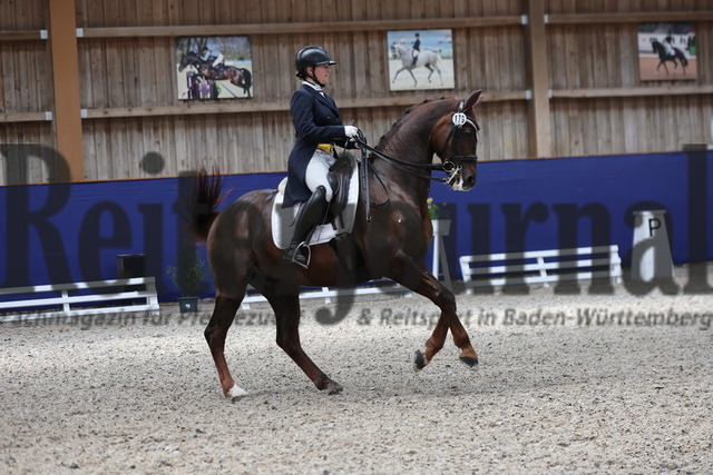 Zeutern_2025_Prfg.Nr.09_Amateur-Dressurprfg.Kl.S_Karen Anett Lempert_Le petit Rouge (14) | Alle Fotos der Reiterjournal Fotografin Doris Matthaes im Reiterjournal Online-Fotoshop. - Realisiert mit Pictrs.com