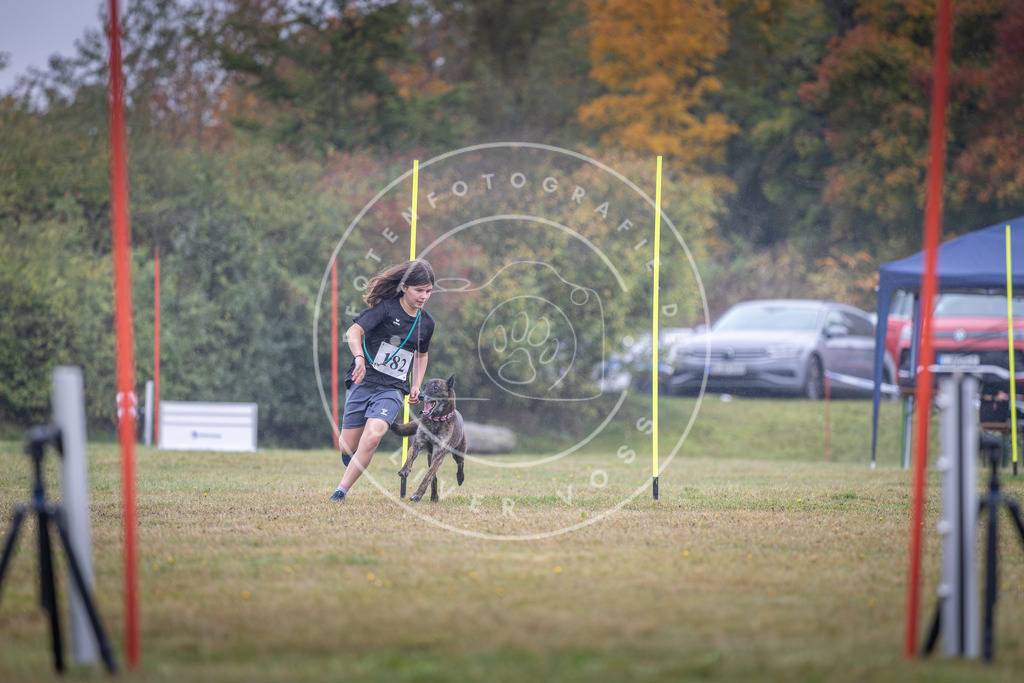 Pfotenfotografie_DV3A9956 | Hundefotografie, Tierfotograf, Pfotenfotografie, Fotoshooting Hund, Hunde Portrait, Hundesport, Hundeportraits, Heideshooting, Hunde, Sportfotograf, Hundefotograf, Turnierhundsport, THS,  - Realisiert mit Pictrs.com
