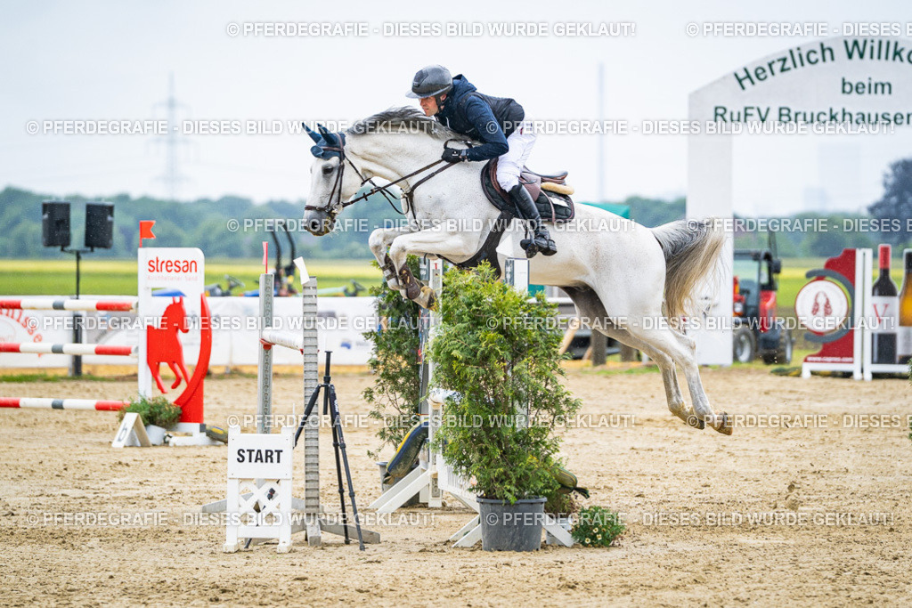 DSC09507 | Pferdegrafie