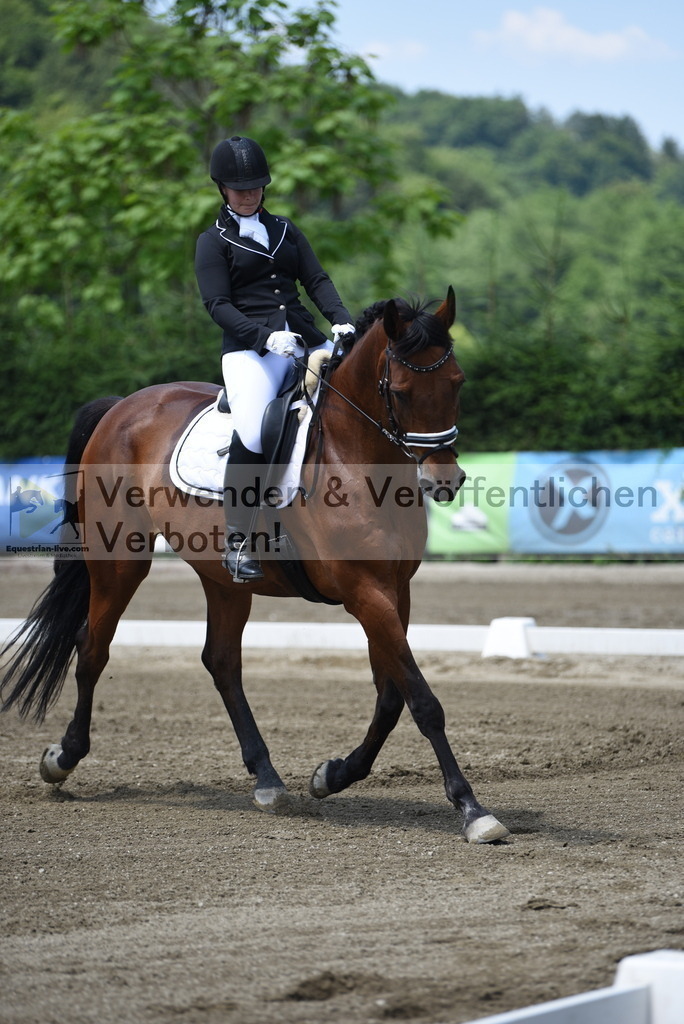 DSC_9905 | equestrian-live-com