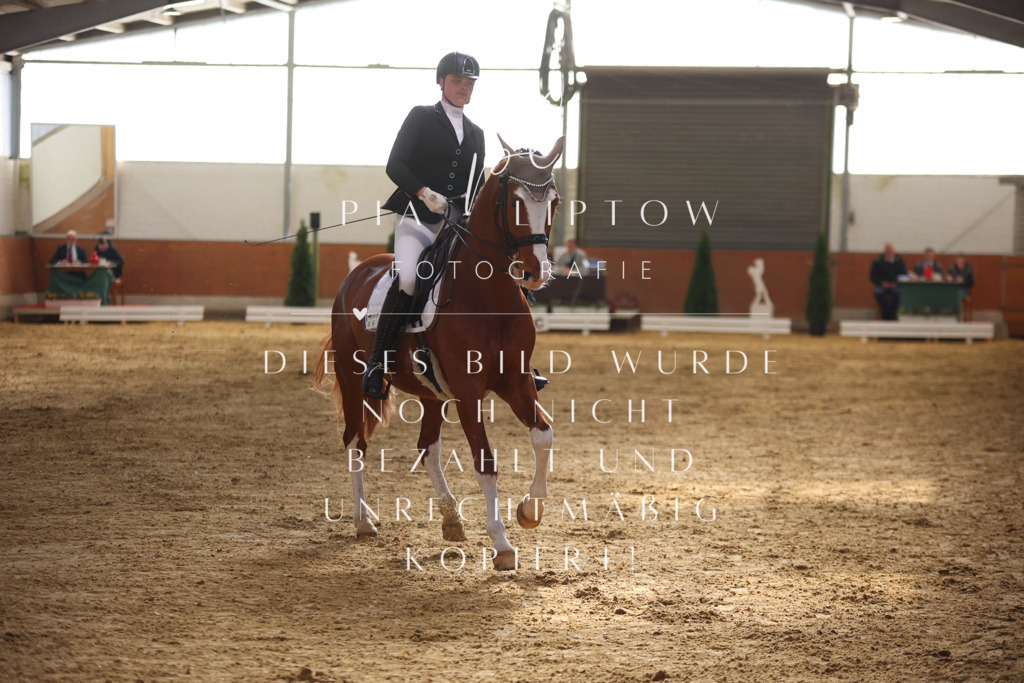 IMGT9690 | pl-fotografie