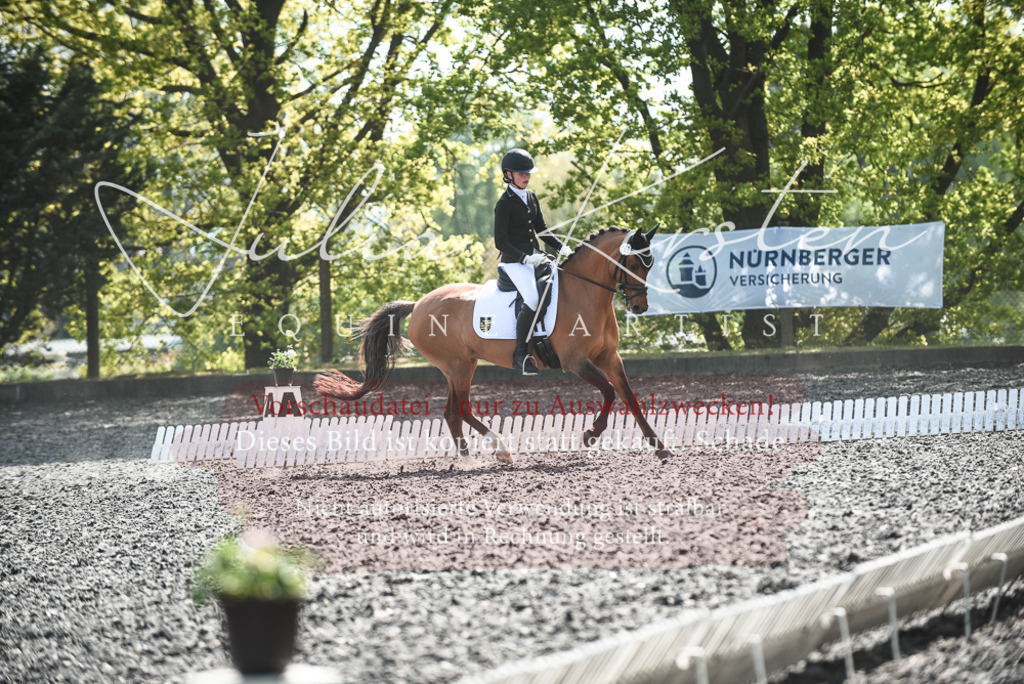DSC_9010 | Pferde- und Turnierfotografie in Westsachsen. Pferdeportraits, Auftragszeichnungen und intuitive Kunst.