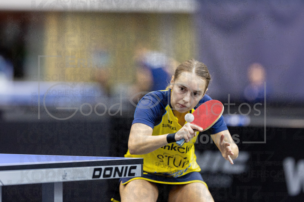 European_Championships_2024-10-17_144 | good-photos - Realisiert mit Pictrs.com
