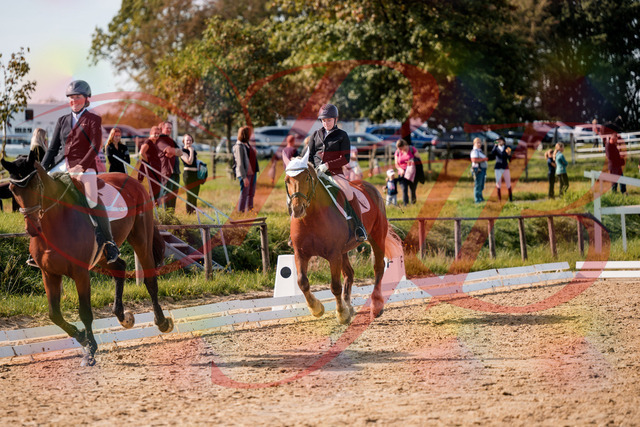 2026_10_03_Siefer-Hof_130345_Z63_66168816 | Professionelle Reitsport-, Turnier- und Eventfotografie von Robert Broda. Galerien mit ausgewählten und bearbeiteten Bildern direkt online ansehen und bestellen.