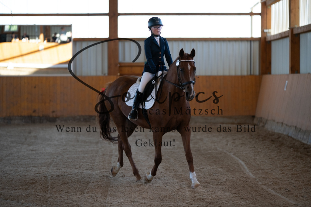 A7V01586 | Turnier/Reitfotograf
