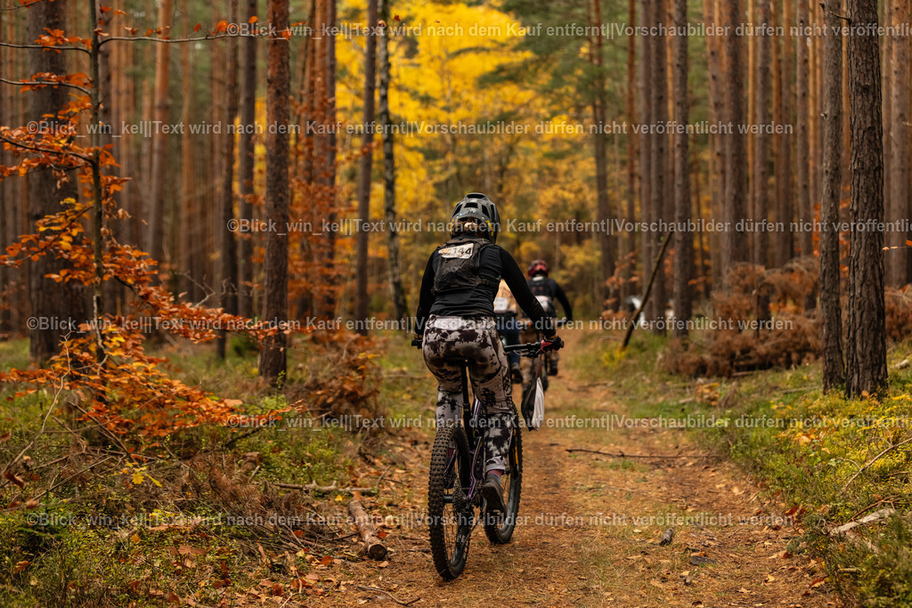 E68A3219 | blick_win_kel