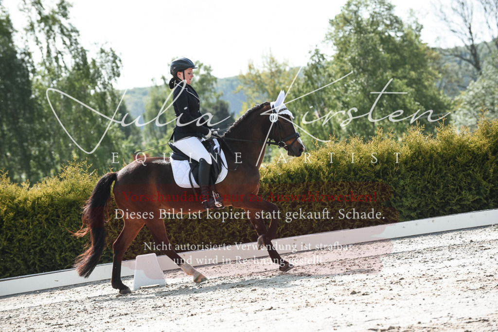 20230518_JK-Röhrsdorf-09-1388 | Pferde- und Turnierfotografie in Westsachsen. Pferdeportraits, Auftragszeichnungen und intuitive Kunst.