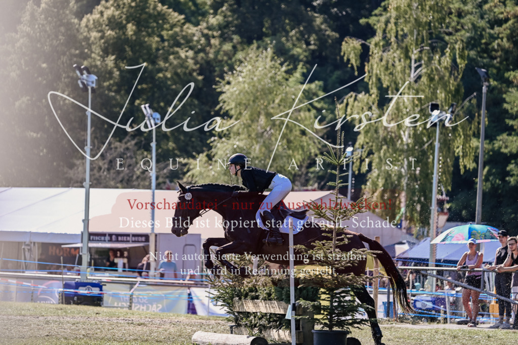 DSC_3433 | Pferde- und Turnierfotografie in Westsachsen. Pferdeportraits, Auftragszeichnungen und intuitive Kunst.