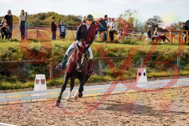 2026_10_03_Siefer-Hof_131721_Z63_79450201 | Professionelle Reitsport-, Turnier- und Eventfotografie von Robert Broda. Galerien mit ausgewählten und bearbeiteten Bildern direkt online ansehen und bestellen.