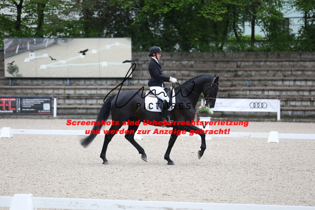 A40A6963 | lmwpictures - Realisiert mit Pictrs.com