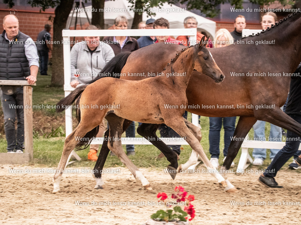 A10I6189 | photographylinaismer - Realisiert mit Pictrs.com