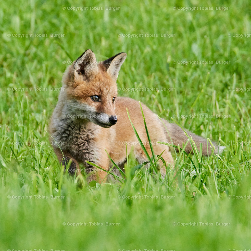 _C2A0467 | Willkommen im Online-Shop von studio27!
 - Realisiert mit Pictrs.com