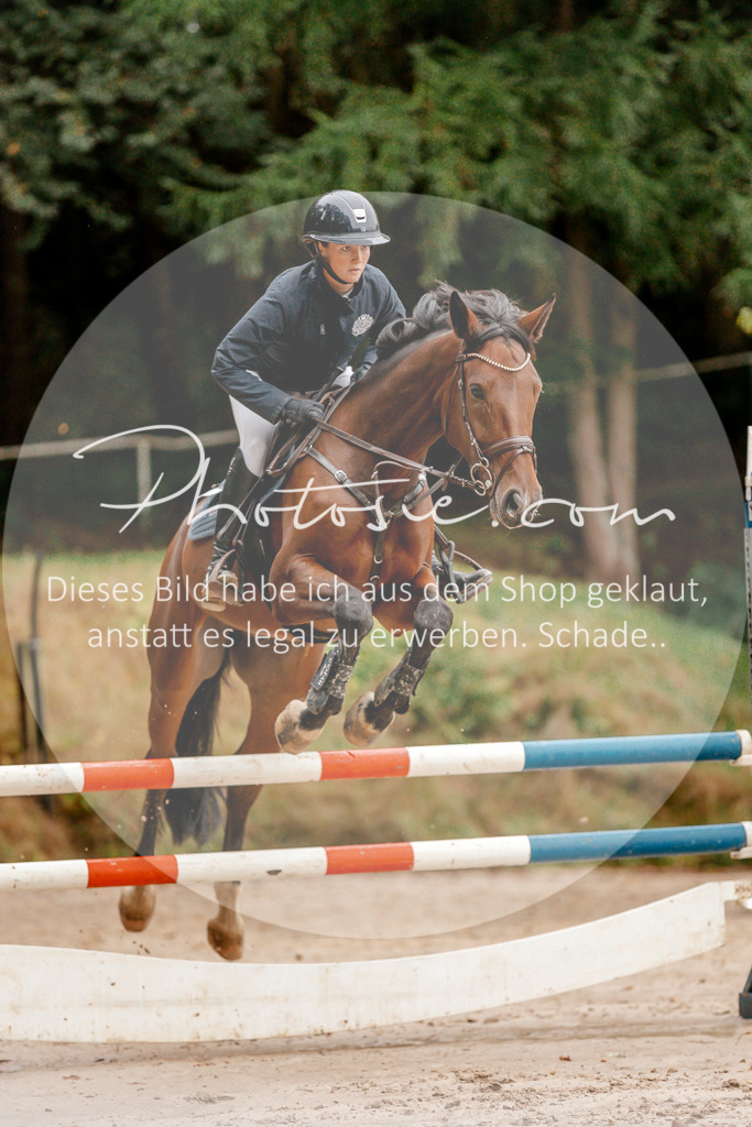 3I6A5785 | Stimmungsvolle Portraits und Reitsportfotografie im Ruhrgebiet und im Münsterland.

Pferdefotografie, Hundefotografie, Tierfotografie, Reportagen, Portraits von Tier und Mensch, Turnierfotografie in Bochum, Recklinghausen, Marl, Haltern am See, Dülmen.. - Realisiert mit Pictrs.com
