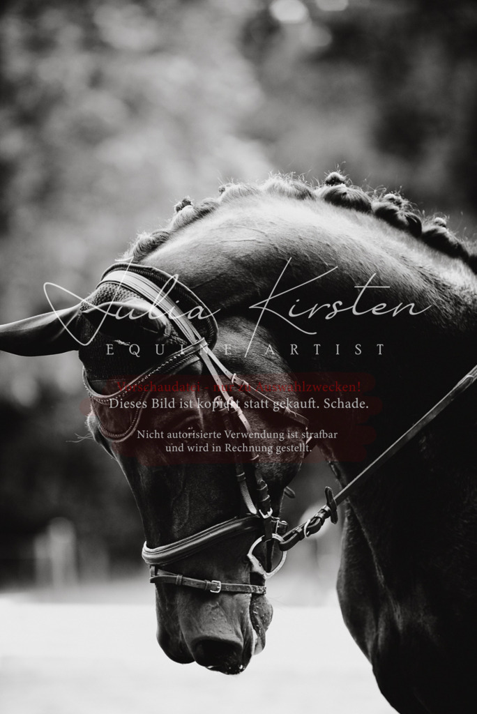 DSC_1212 | Pferde- und Turnierfotografie in Westsachsen. Pferdeportraits, Auftragszeichnungen und intuitive Kunst.