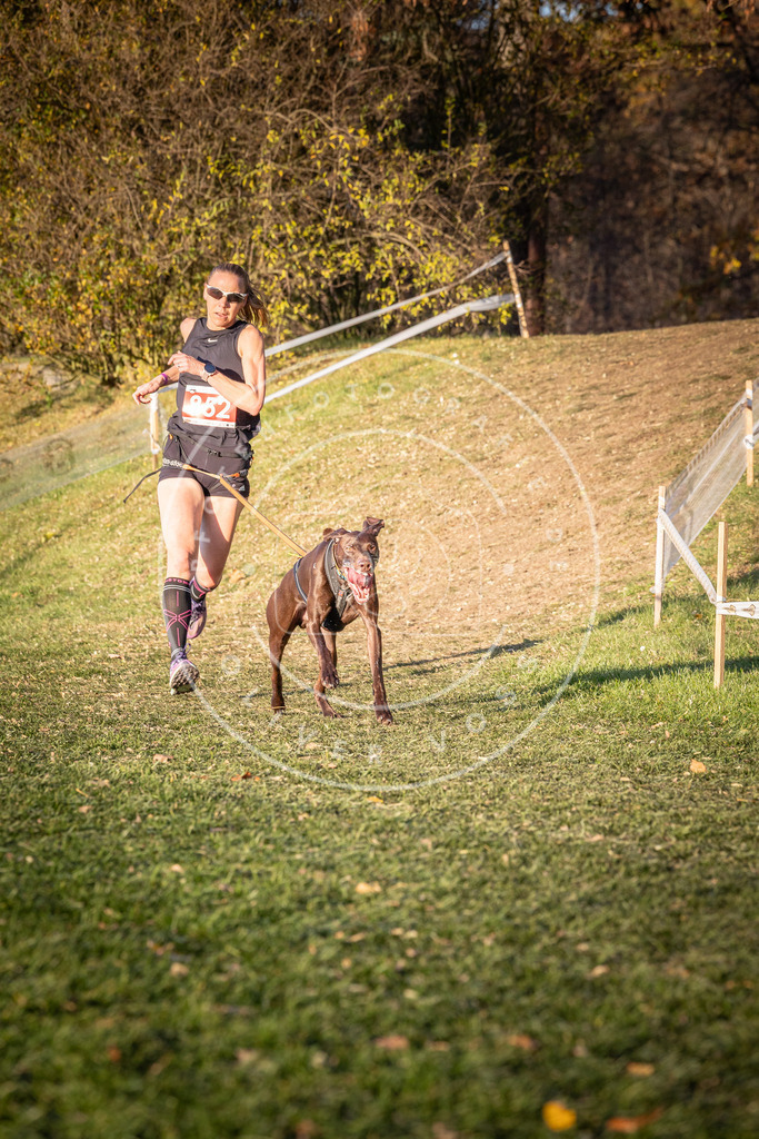 CaniXpix_0L8A0758 | Hundefotografie, Tierfotograf, Pfotenfotografie, Fotoshooting Hund, Hunde Portrait, Hundesport, Hundeportraits, Heideshooting, Hunde, Sportfotograf, Hundefotograf, Turnierhundsport, THS,  - Realisiert mit Pictrs.com