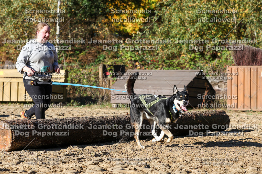 Dog Paparazzi - Strongdog 10-25-2010 | Dog Paparazzi Jeanette Grottendiek Fotografie & Videografie - Realisiert mit Pictrs.com