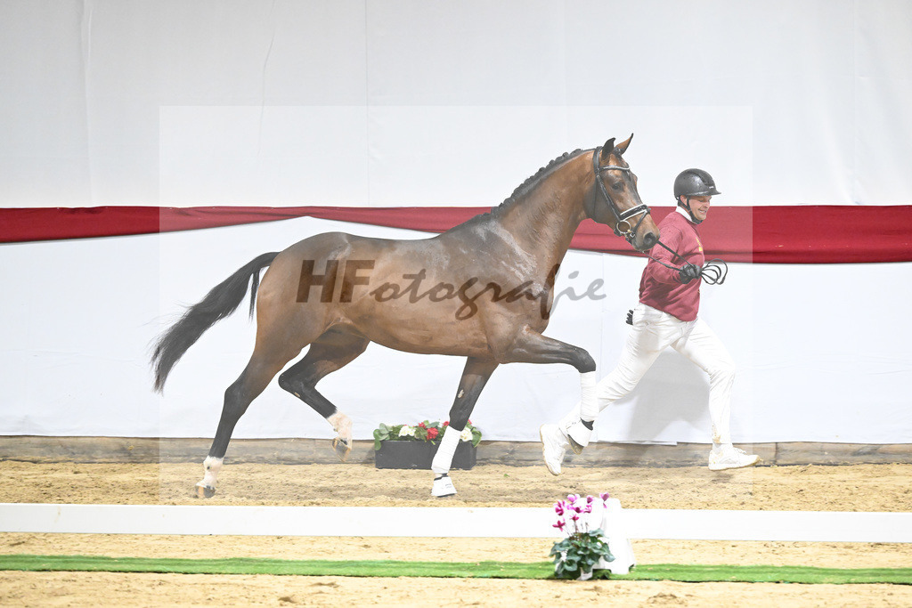 Kat-Nr. 60 v. Valverde_Schoenland_63221799 | hf-fotografie - Realizzato con Pictrs.com