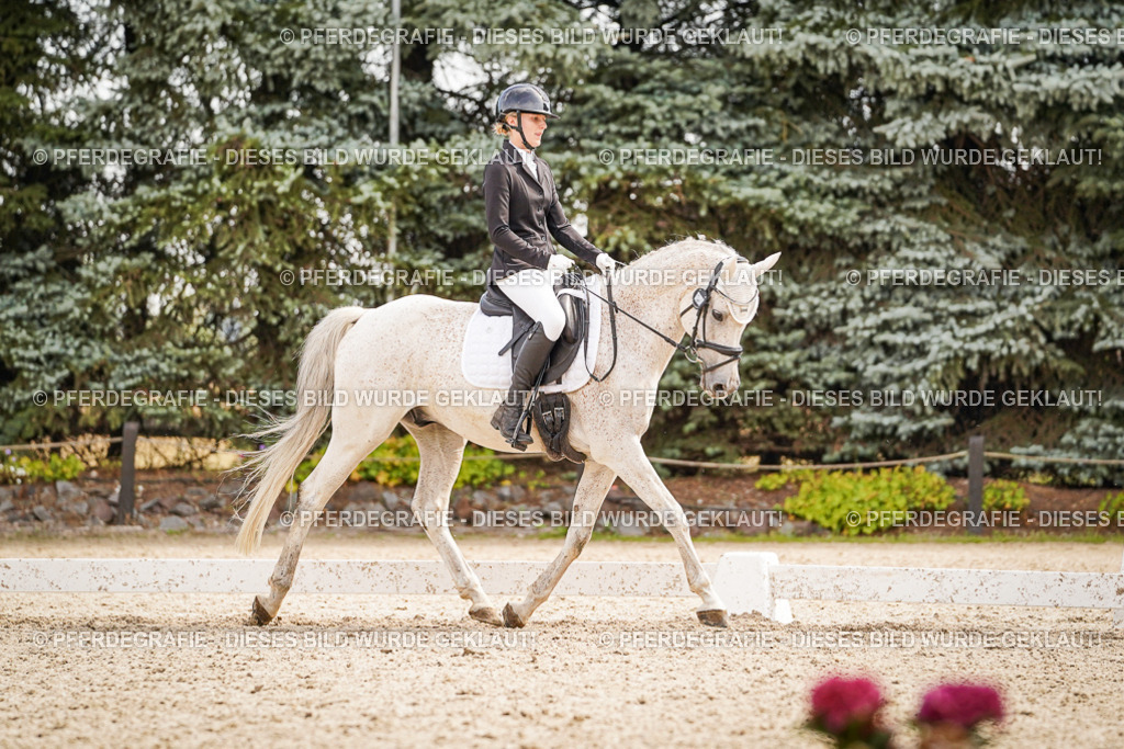 DSC01337 | Pferdegrafie