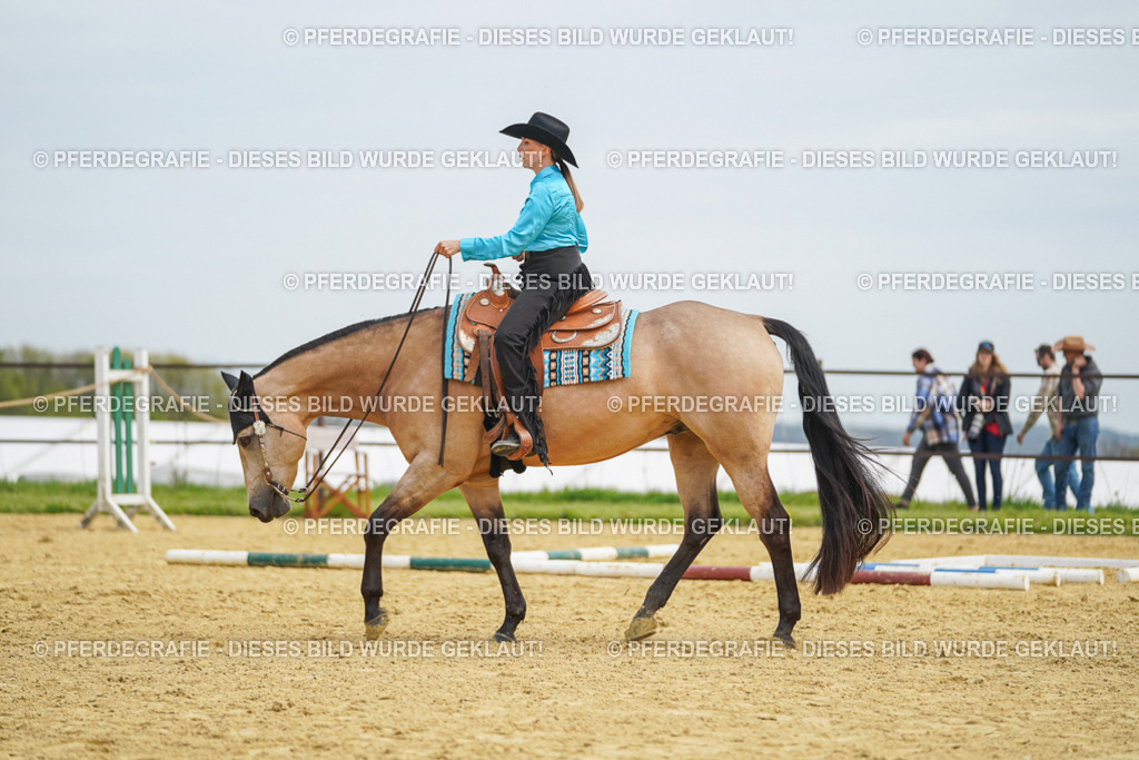 DSC03434 | Pferdegrafie