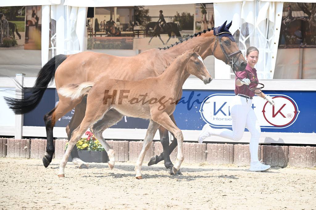 Zirocco Blue x Casall_HF_Simonet_12250821 | hf-fotografie - Realizzato con Pictrs.com
