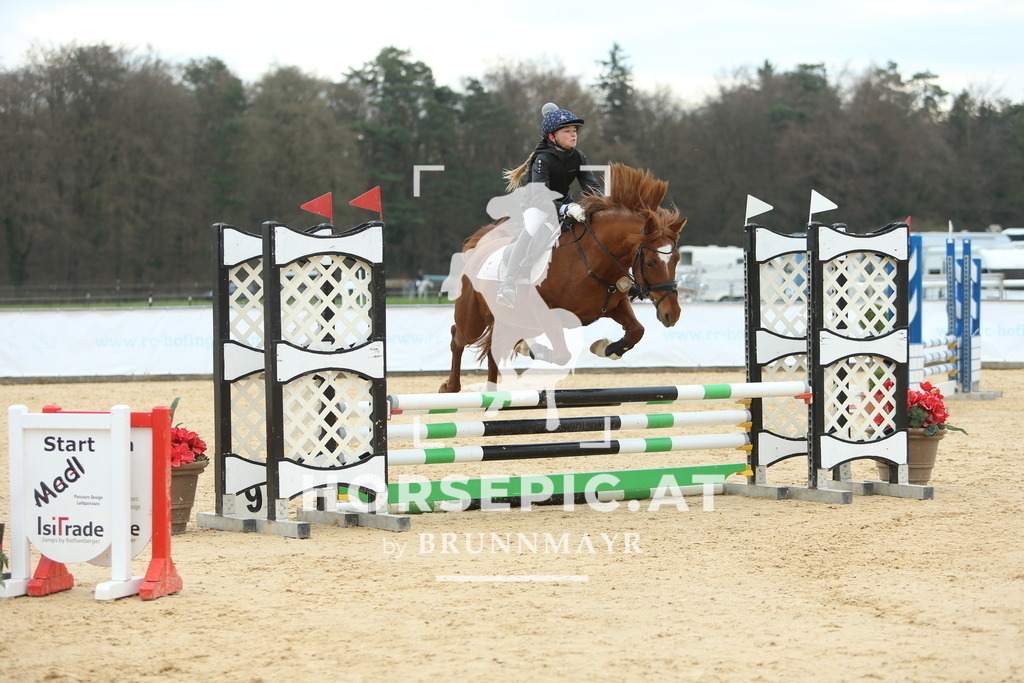 DL2Q2335 | Willkommen bei Brunnmayr - Design & Fotografie – Ihrem Spezialisten für Reitturniere und Pferdeveranstaltungen in Oberösterreich, Salzburg und Bayern! Seit über 17 Jahren sind wir leidenschaftlich dabei.