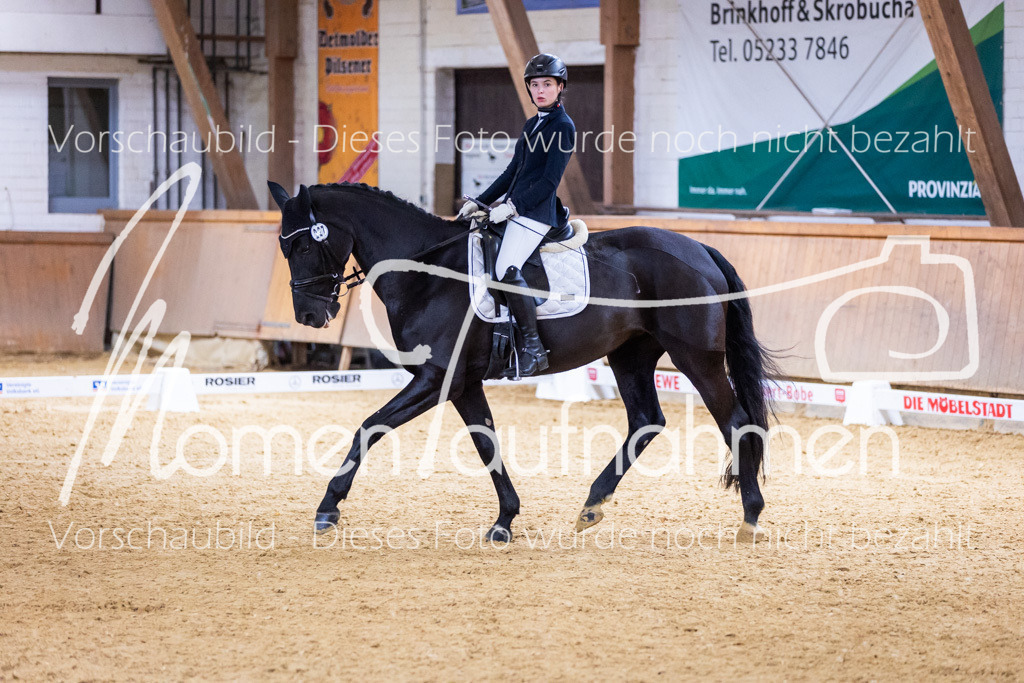 Sth-A-Dre-2St-124 | MomenTaufnahmen Pferdesportfotos