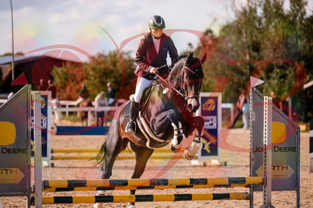 2026_10_03_Siefer-Hof_154258_Z81_60700136 | Professionelle Reitsport-, Turnier- und Eventfotografie von Robert Broda. Galerien mit ausgewählten und bearbeiteten Bildern direkt online ansehen und bestellen.