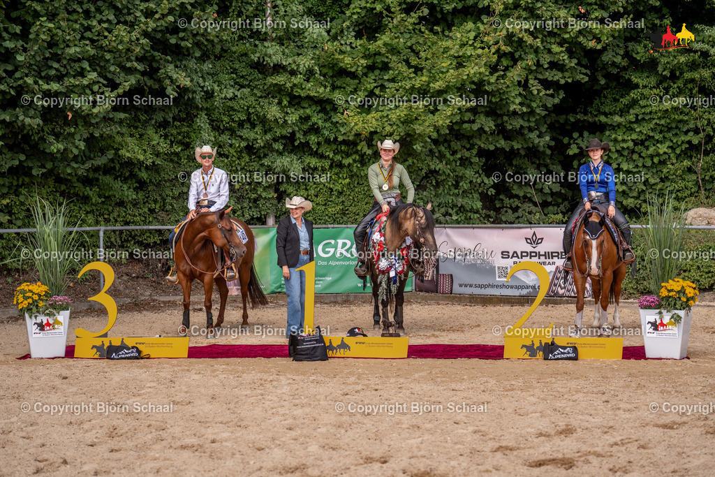 LMS08111 | BS-foto