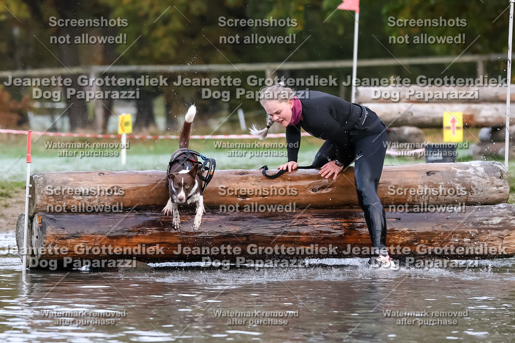 Dog Paparazzi - Strongdog 10-25-6228 | Dog Paparazzi Jeanette Grottendiek Fotografie & Videografie - Realisiert mit Pictrs.com