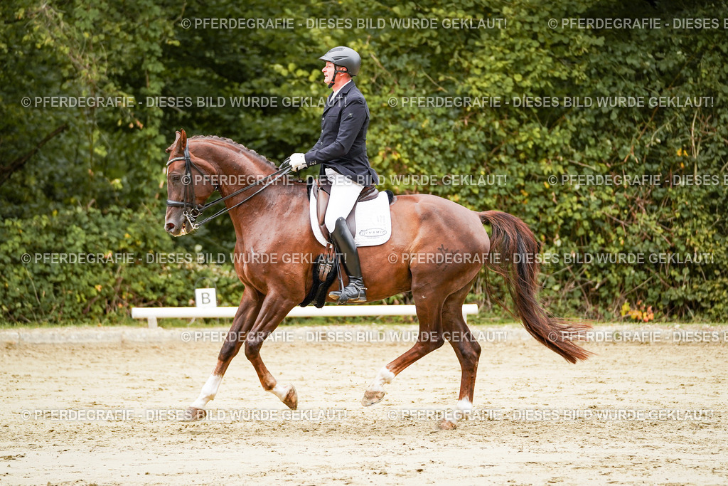 DSC03801 | Pferdegrafie