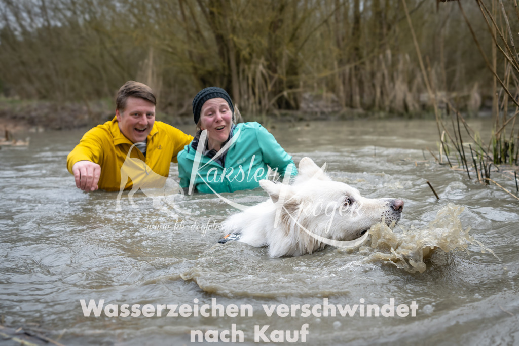 1418_ZZ98283 | kk-dogfotos