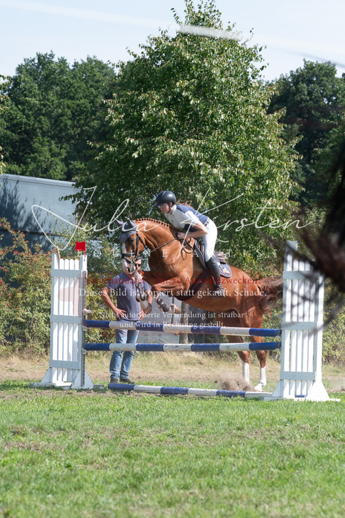 DSC_0806 | Pferde- und Turnierfotografie in Westsachsen. Pferdeportraits, Auftragszeichnungen und intuitive Kunst.