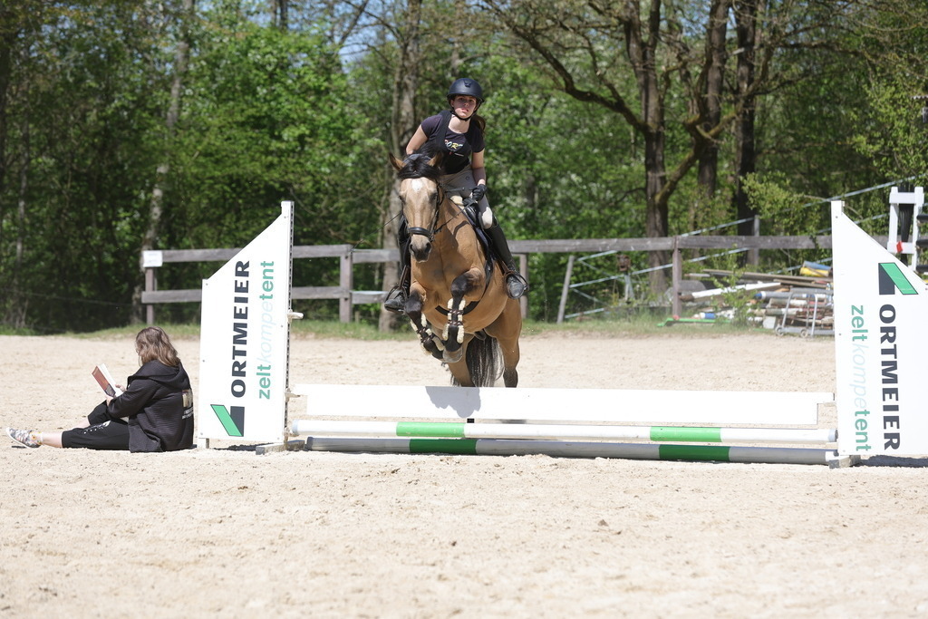 0P6A8820 | Willkommen bei Brunnmayr - Design & Fotografie – Ihrem Spezialisten für Reitturniere und Pferdeveranstaltungen in Oberösterreich, Salzburg und Bayern! Seit über 17 Jahren sind wir leidenschaftlich dabei.
