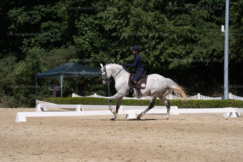 WS_DR_139_sinafilmart_IN03723 | working equitationturnier fotograf videograf stoibphotography marixx film working equitation deutschland reitsport turnierfotografie eventfotografie equestrian events