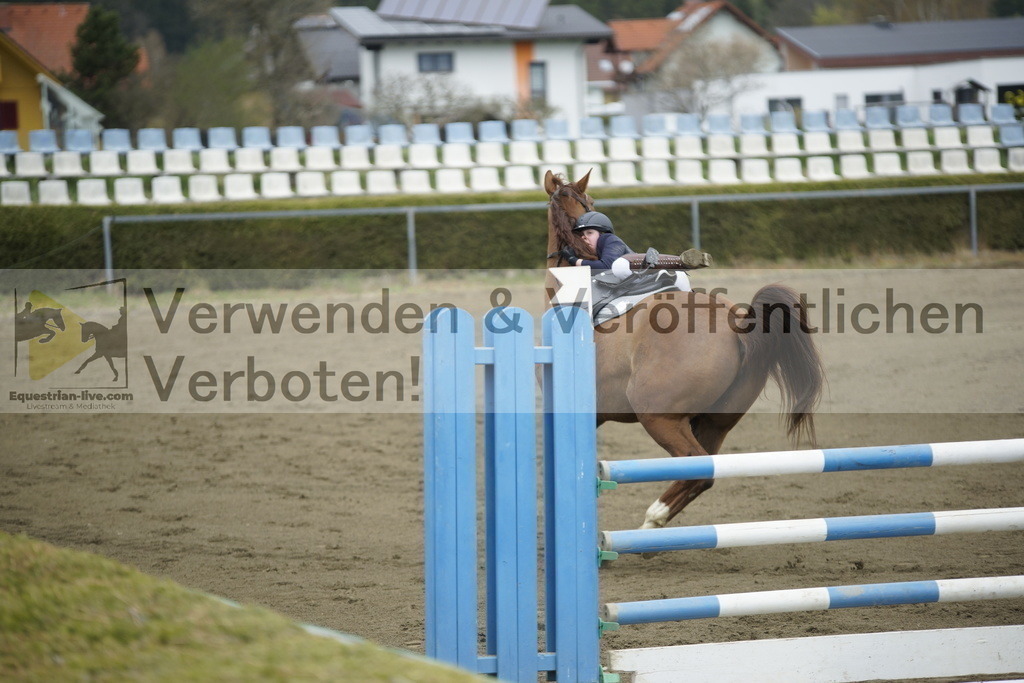 _DSC7162 | equestrian-live-com