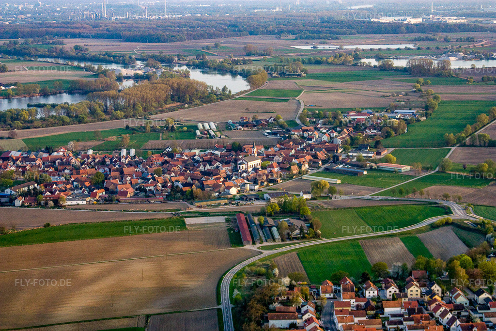 Luftbild: Ortsansicht von Norden in Leimersheim im Bundesland Rheinland-Pfalz in Deutschland. Foto: IMG_17601.jpg vom 10.04.2009 durch Werner Riehm/FLY-FOTO.de