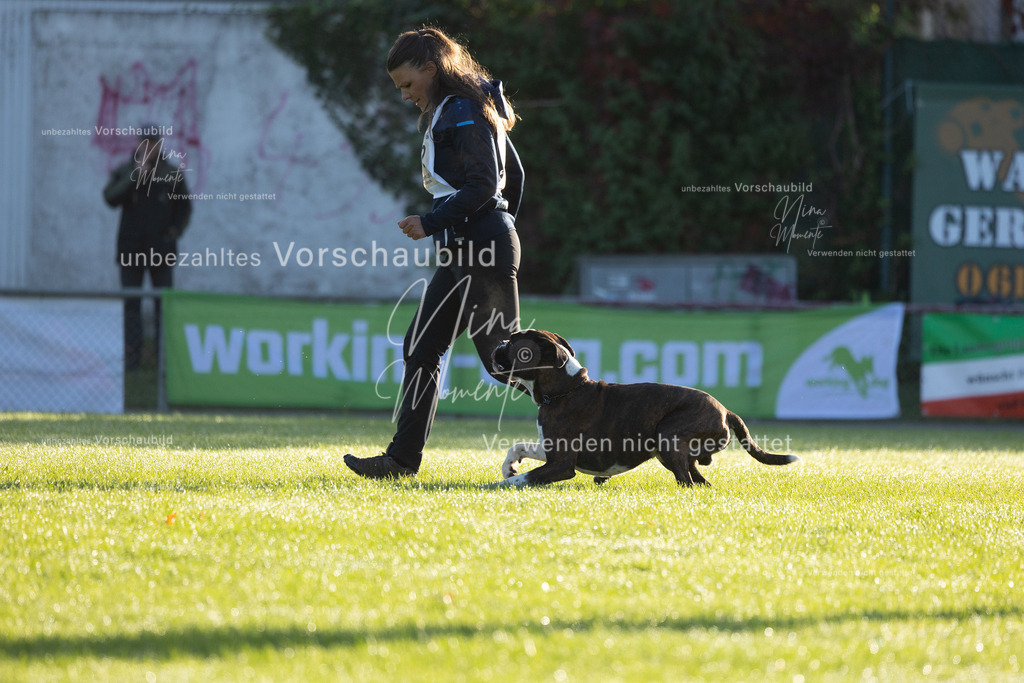_16A6064 | Einzigartige Fotos von Hunden & Menschen –Actionfotos, Portraits, Vereinsaufnahmen & Paarshootings – authentisch, lebendig & mit Herz.