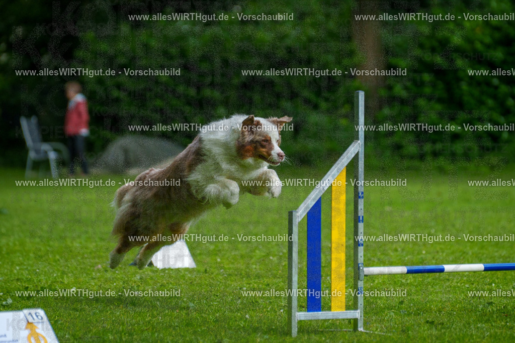 @allesWIRTHgut_Tierfotografie - www.allesWIRTHgut.de - 7R503331 | Professionelle Tierfotografie in Mönchengladbach von Daniel Wirth (allesWIRTHgut). Liebevolle & natürliche Bilder von Hunden & Katzen für unvergessliche Erinnerungen.