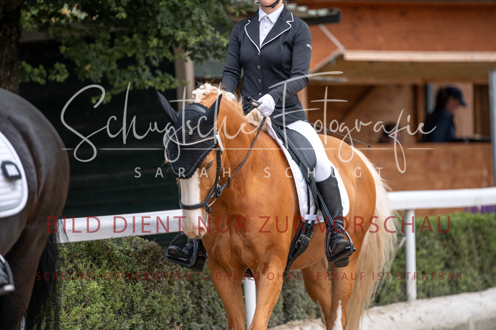 Schugtsche-Aluta25-41.Amat-Dressurprf.A_-379 | Schugtsche Fotografie - Realisiert mit Pictrs.com