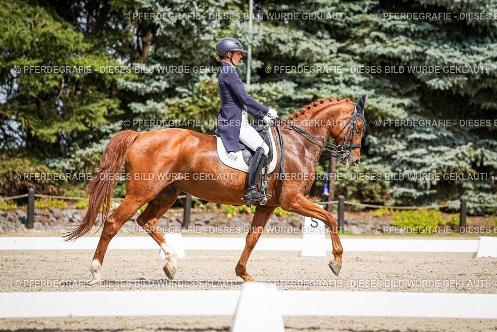 DSC06288 | Pferdegrafie