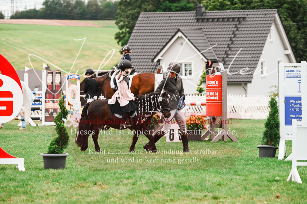DSC_7375 | Pferde- und Turnierfotografie in Westsachsen. Pferdeportraits, Auftragszeichnungen und intuitive Kunst.