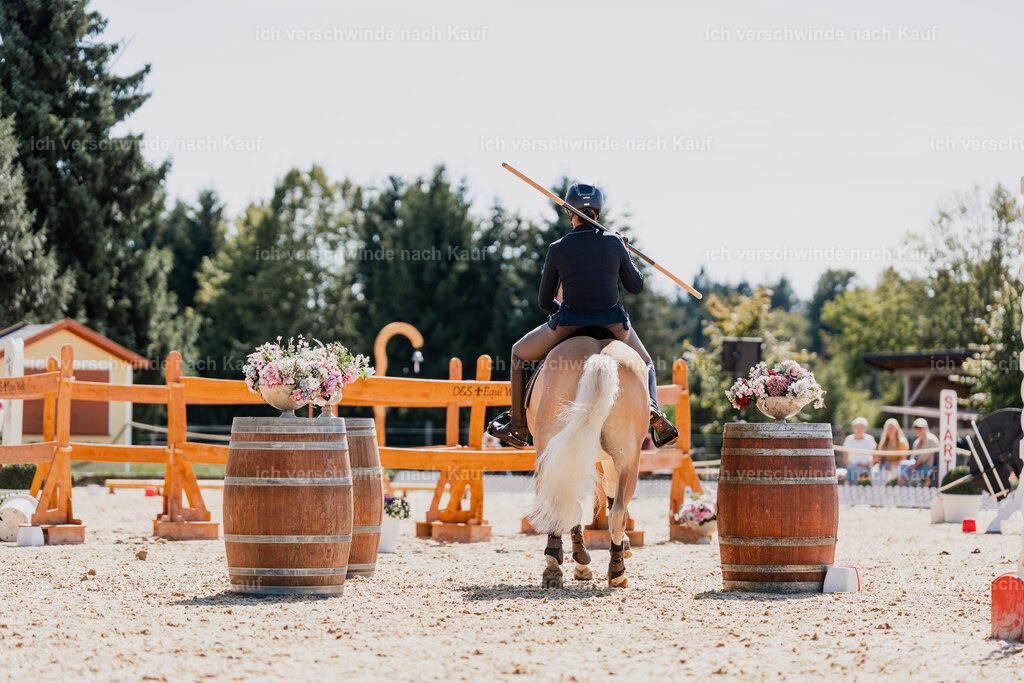 Tanesha5FHC2025-08798 | working equitationturnier fotograf videograf stoibphotography marixx film working equitation deutschland reitsport turnierfotografie eventfotografie equestrian events