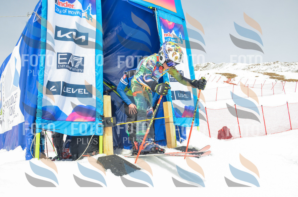 _ELE8311 | holidayphoto