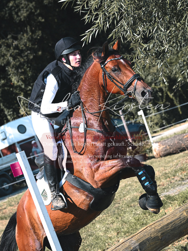 DSC_8733 | Pferde- und Turnierfotografie in Westsachsen. Pferdeportraits, Auftragszeichnungen und intuitive Kunst.