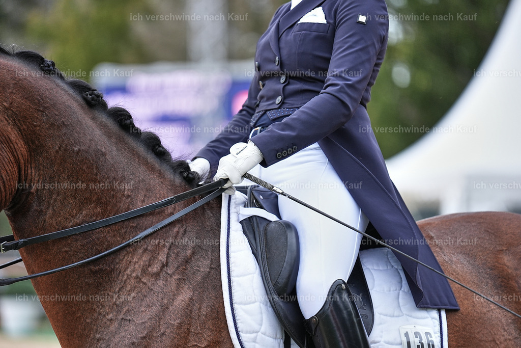 11-036-Dressur S___-Marixx-1506 | working equitationturnier fotograf videograf stoibphotography marixx film working equitation deutschland reitsport turnierfotografie eventfotografie equestrian events