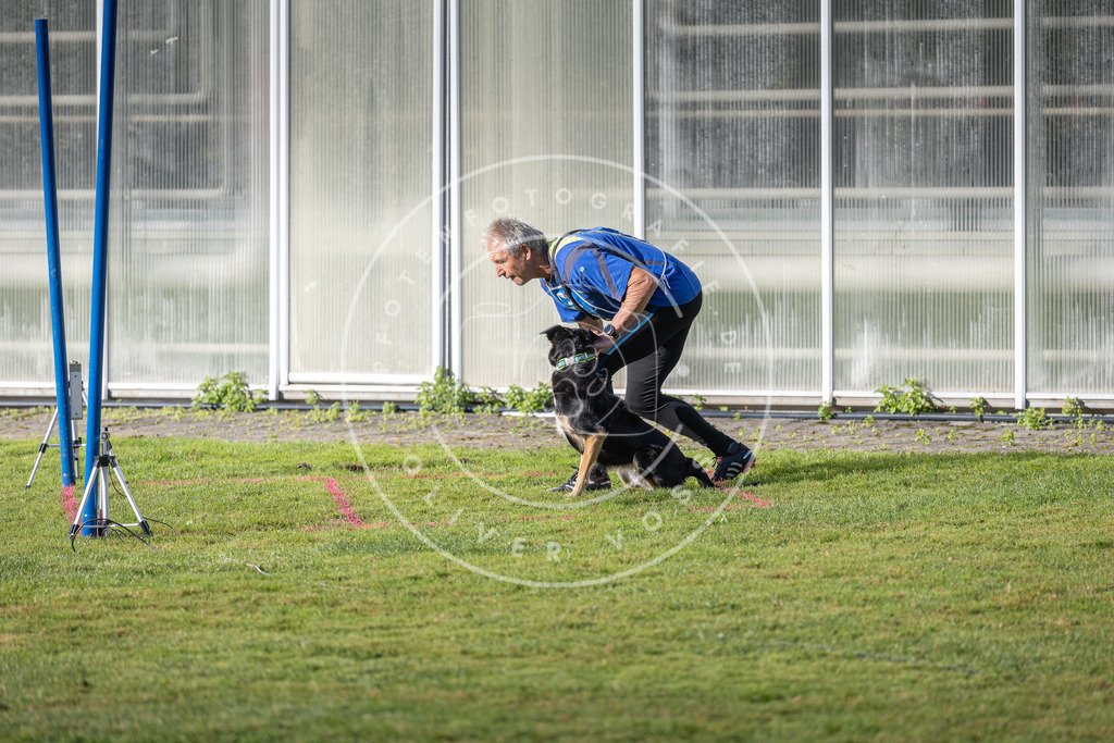 Pfotenfotografie.de_DV3A3332 | Hundefotografie, Tierfotograf, Pfotenfotografie, Fotoshooting Hund, Hunde Portrait, Hundesport, Hundeportraits, Heideshooting, Hunde, Sportfotograf, Hundefotograf, Turnierhundsport, THS, canicross - Realisiert mit Pictrs.com