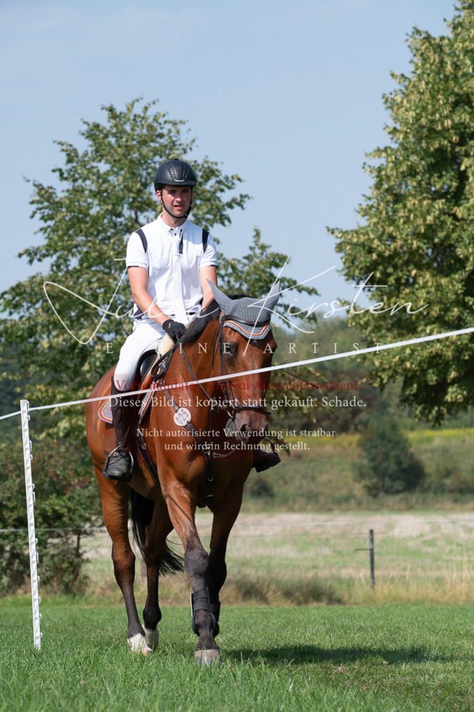DSC_0850 | Pferde- und Turnierfotografie in Westsachsen. Pferdeportraits, Auftragszeichnungen und intuitive Kunst.