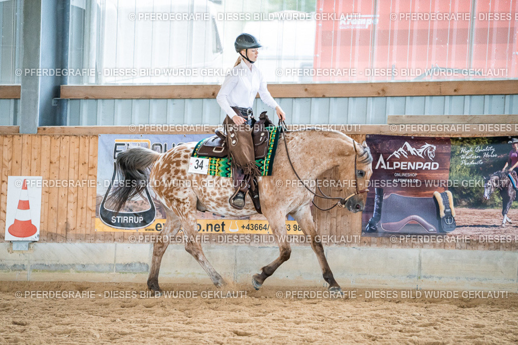 DSC01281 | Pferdegrafie