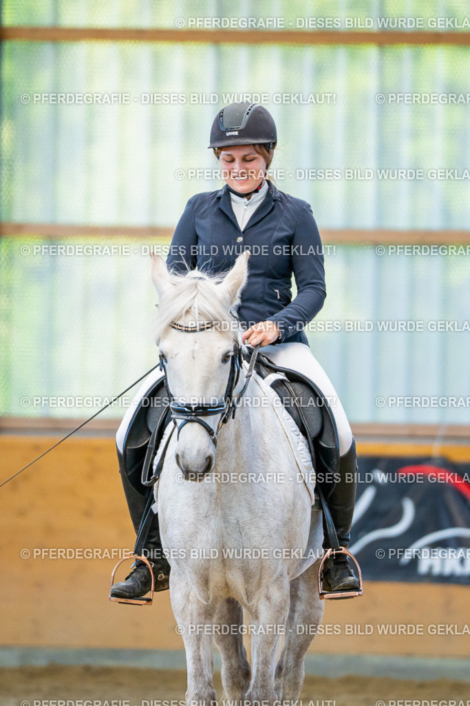 DSC06941 | Pferdegrafie