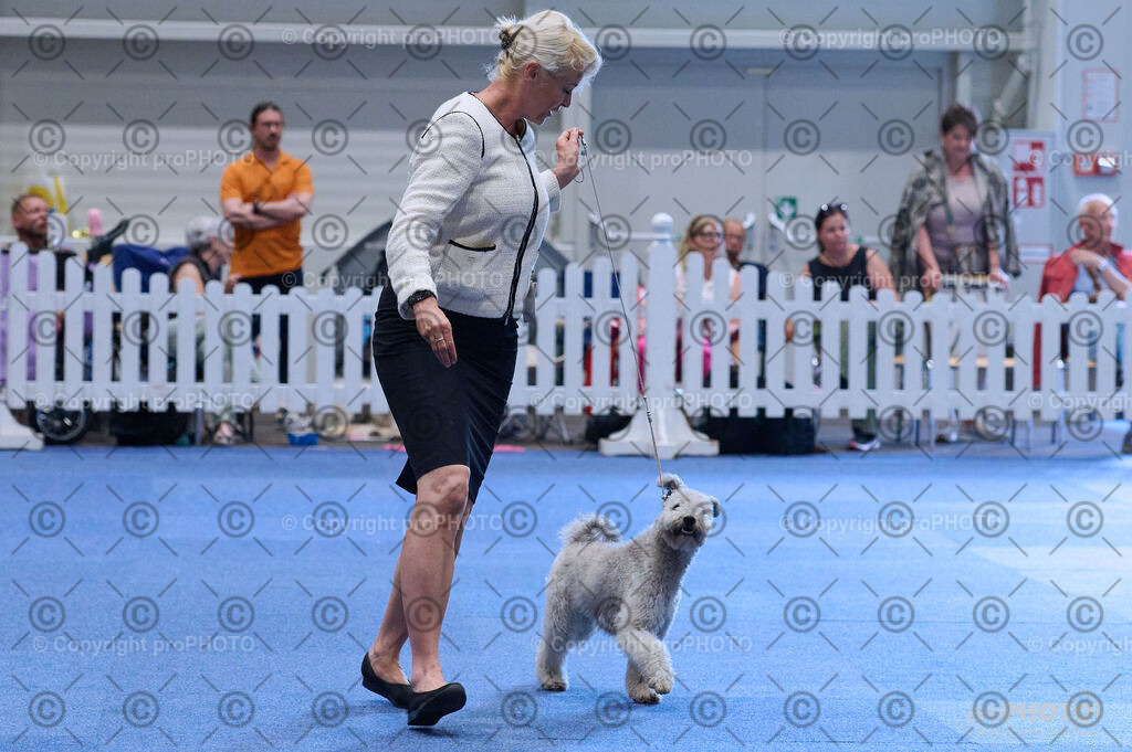 202406_ÖKV-IHA-Tulln24_DSC_3817 | proPHOTO - Realisiert mit Pictrs.com